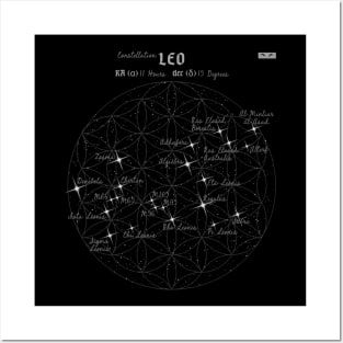 Constellation Leo Posters and Art